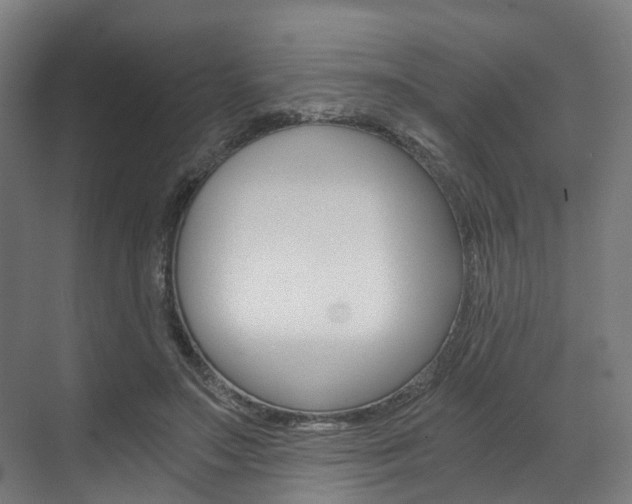 X0000073490499200607310920