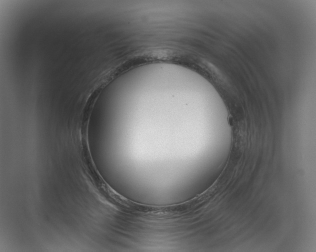 X0000073490500200607310920