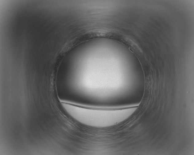 X0000073490509200607310920