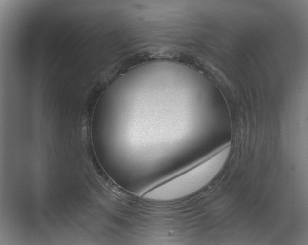X0000073490513200607310920