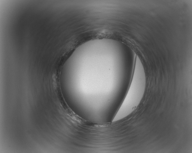 X0000073490520200607310920