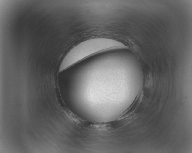 X0000073490524200607310920