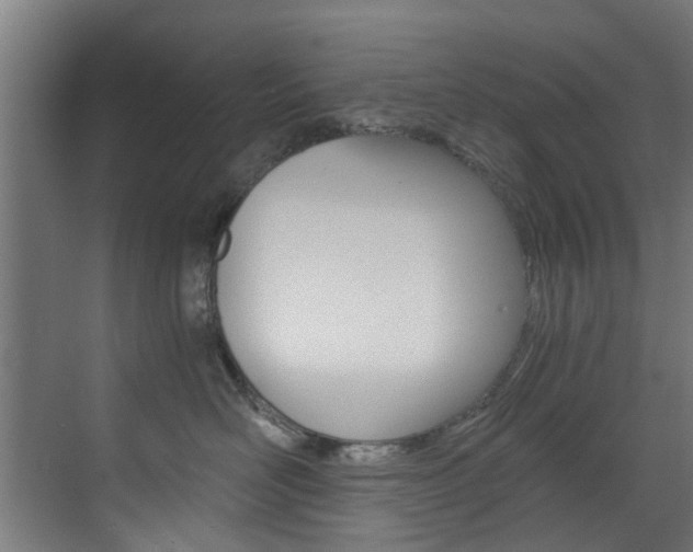 X0000073490526200607310920