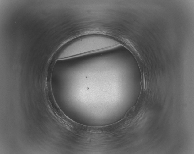 X0000073490531200607310919