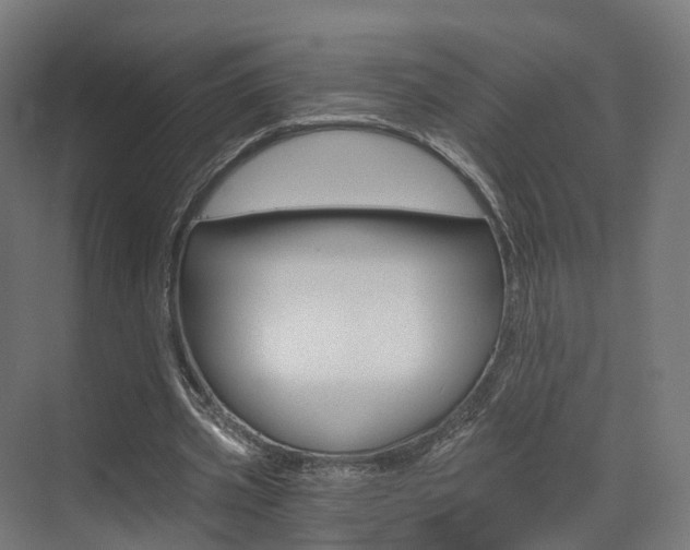X0000073490533200607310919