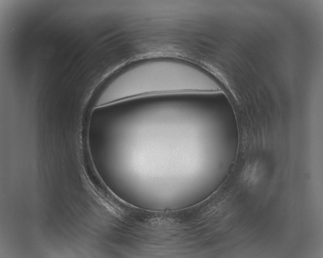 X0000073490535200607310919