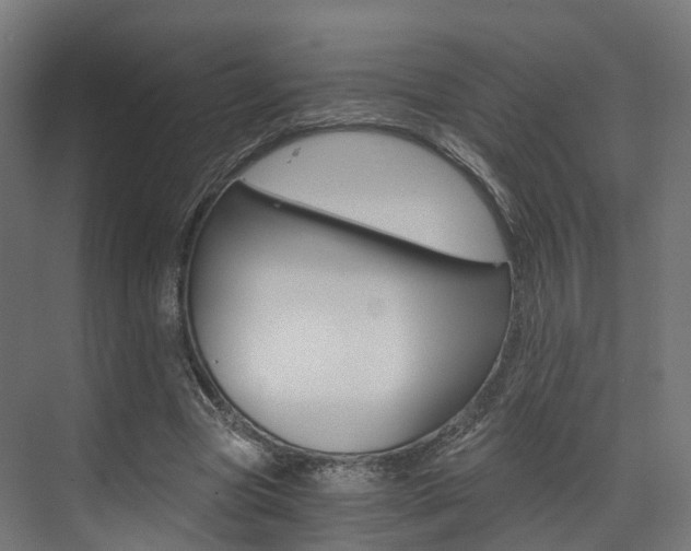 X0000073490537200607310919
