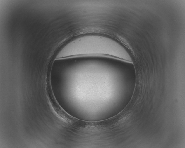 X0000073490538200607310919