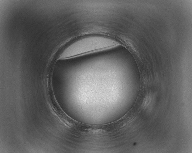 X0000073490539200607310919