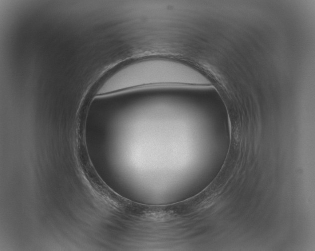 X0000073490540200607310919