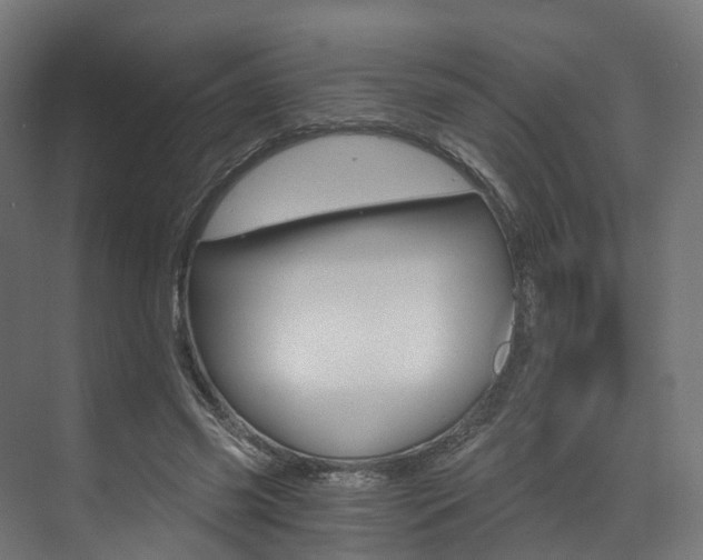 X0000073490541200607310919