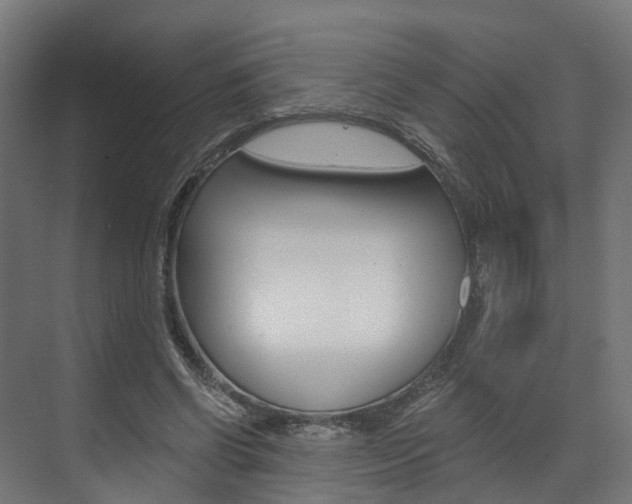 X0000073490542200607310919