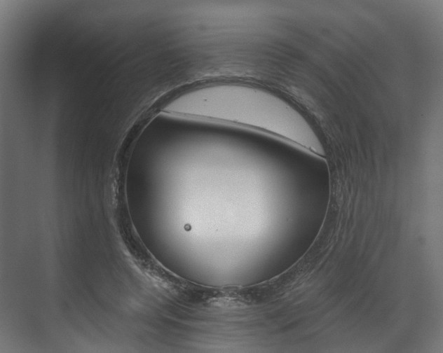 X0000073490544200607310919
