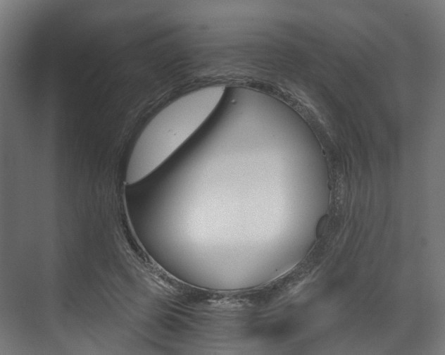 X0000073490545200607310919