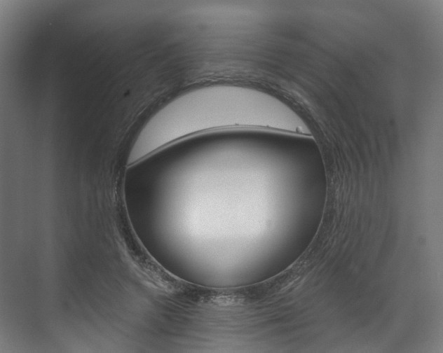 X0000073490546200607310919