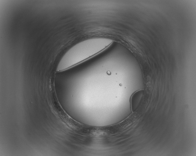 X0000073490547200607310919