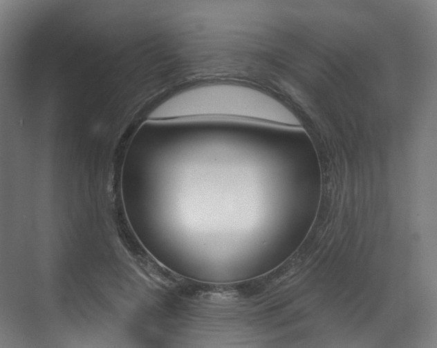 X0000073490548200607310919