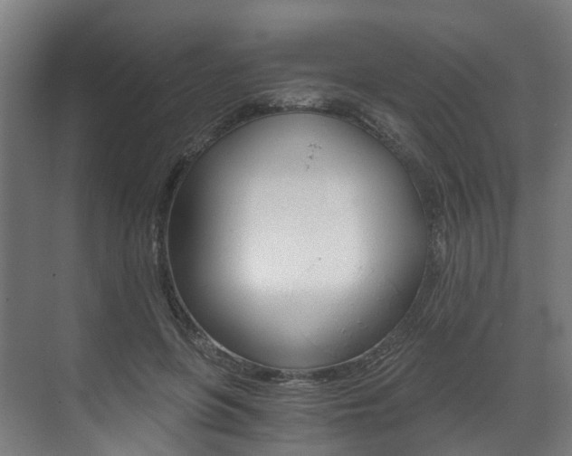 X0000073490551200607310919