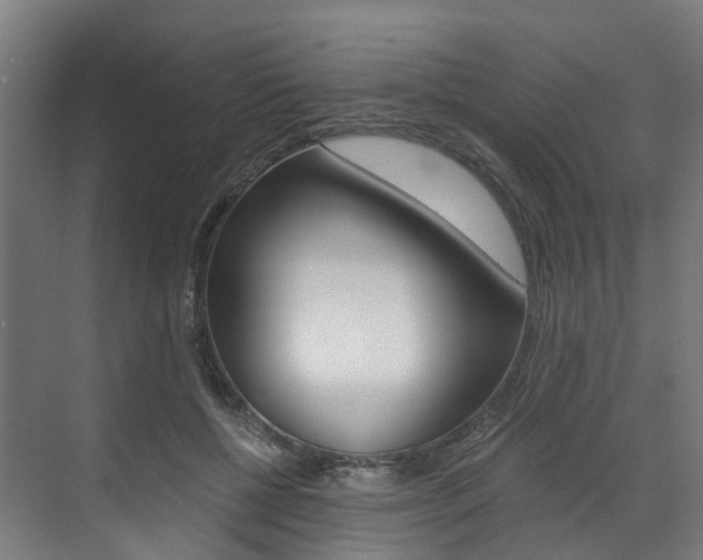X0000073490552200607310919
