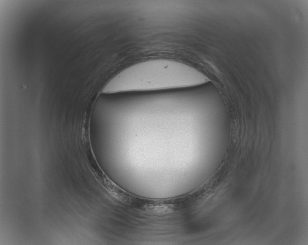 X0000073490553200607310919