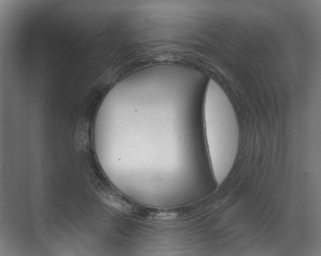X0000073490554200607310919