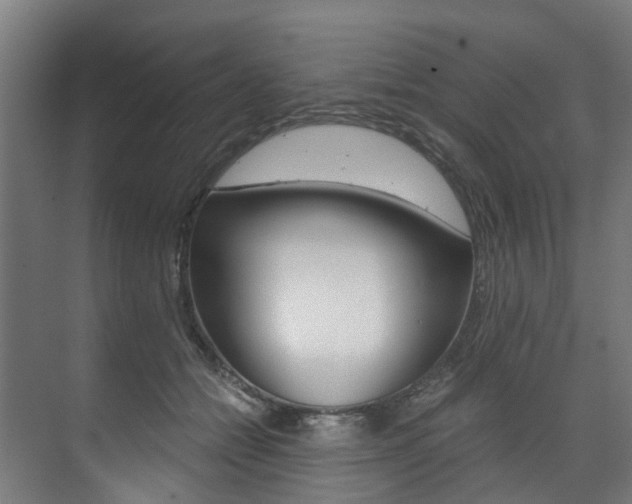 X0000073490558200607310920