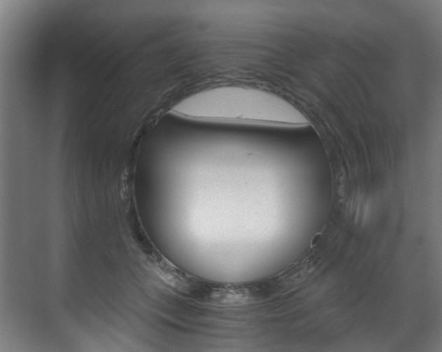 X0000073490559200607310920