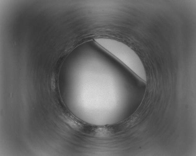 X0000073490562200607310920