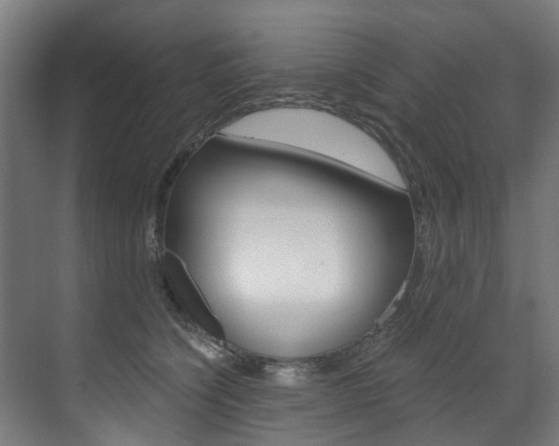 X0000073490564200607310920
