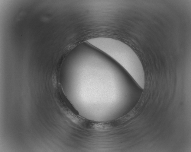 X0000073490568200607310920