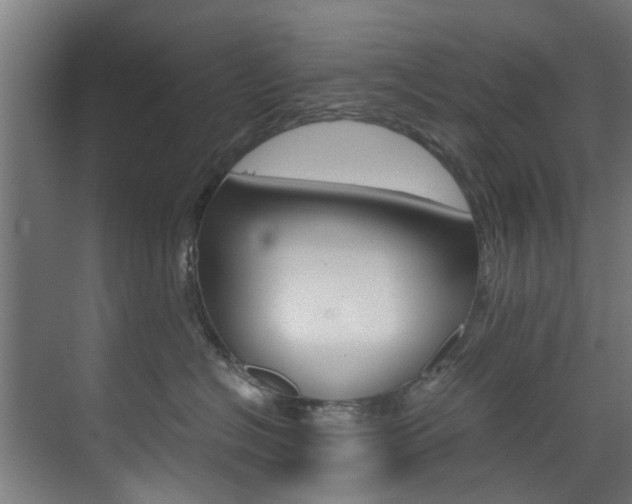 X0000073490574200607310920