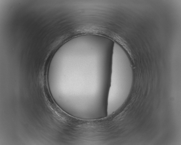 X0000073490578200607310919