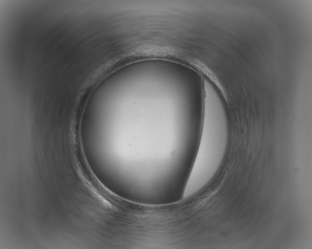 X0000073490581200607310919