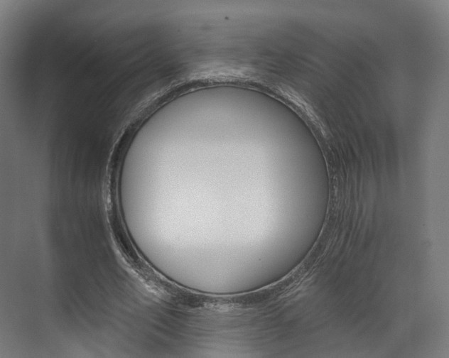 X0000073490582200607310919