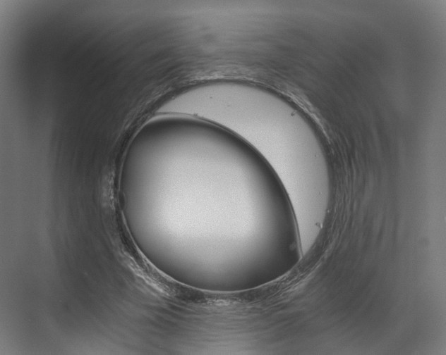 X0000073490585200607310919