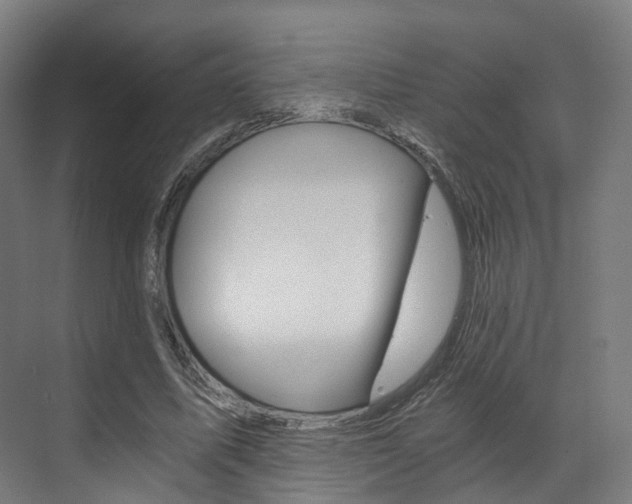 X0000073490587200607310919