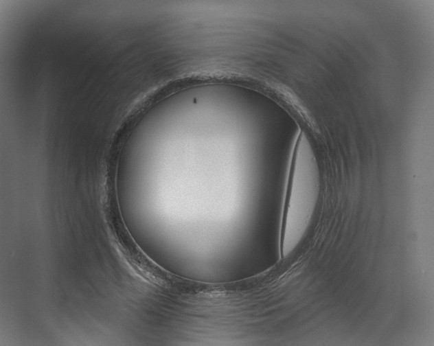 X0000073490588200607310919