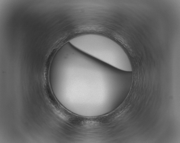 X0000073490590200607310919