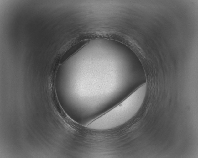 X0000073490593200607310919