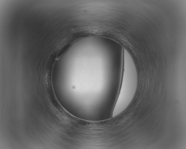 X0000073490597200607310919