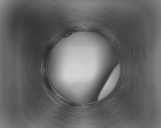 X0000073490599200607310919