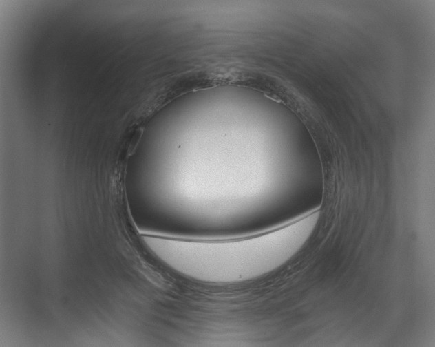 X0000073490601200607310919