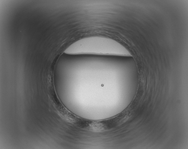 X0000073490603200607310919