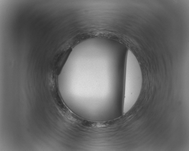 X0000073490607200607310919