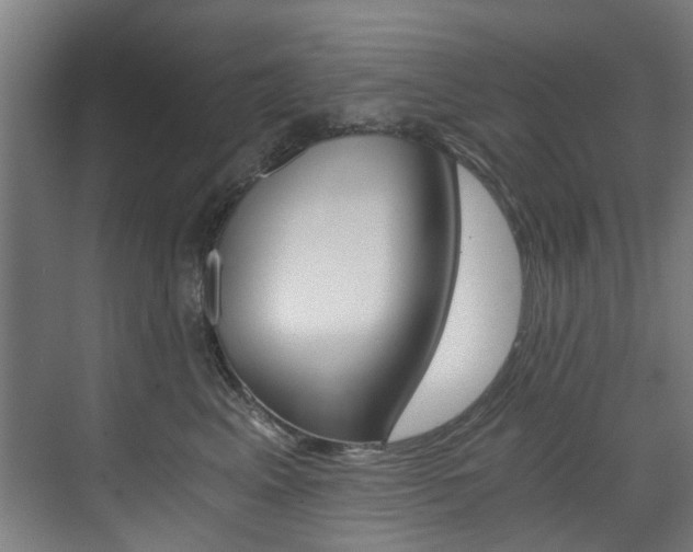X0000073490617200607310918