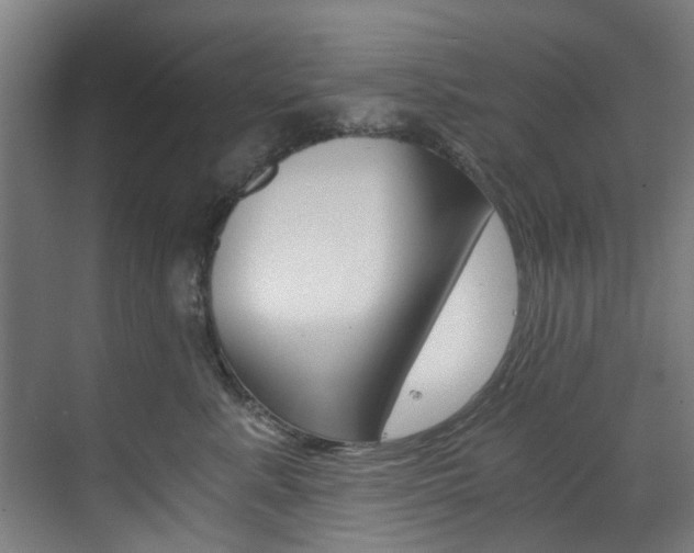 X0000073490619200607310918