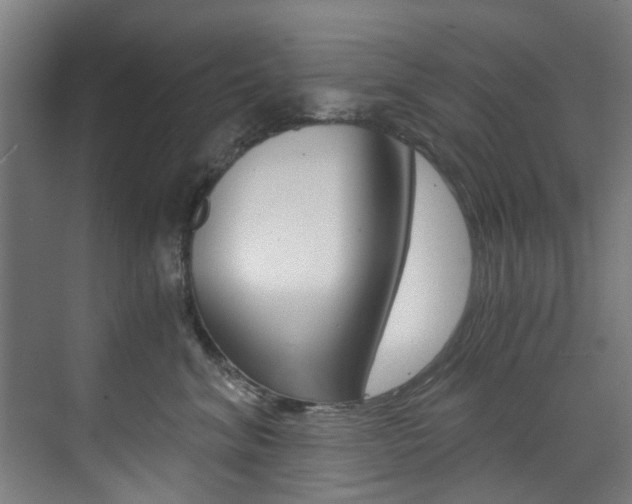 X0000073490620200607310918