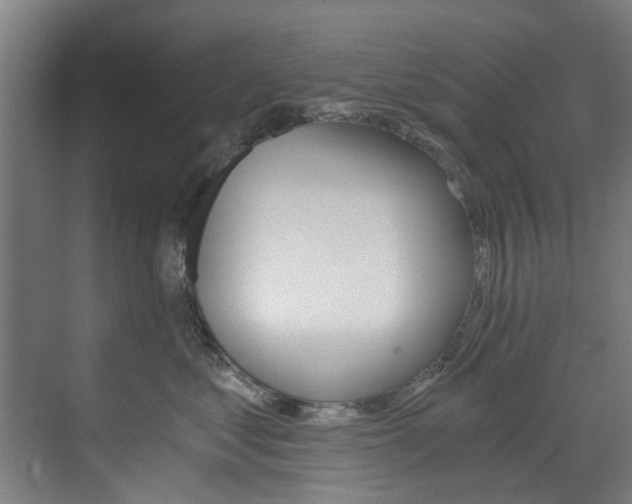 X0000073490621200607310918