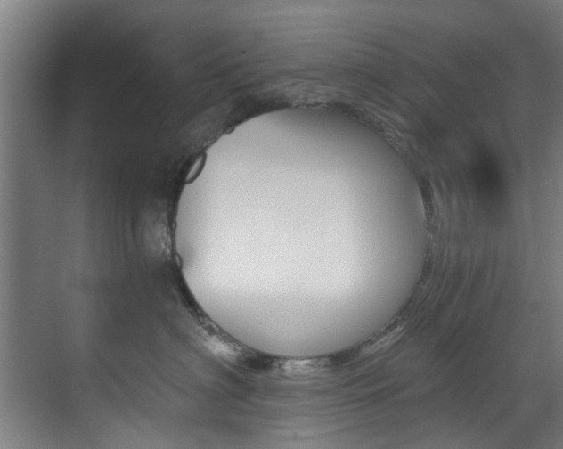 X0000073490622200607310918