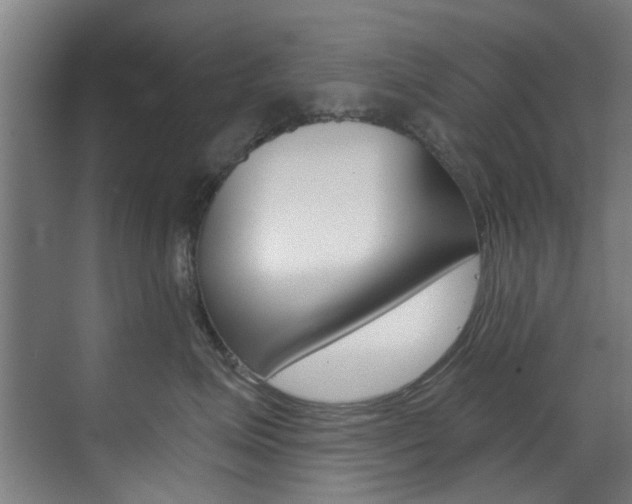 X0000073490623200607310918